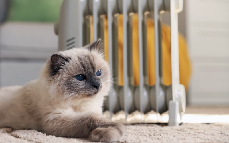 Imagen del blog de Gascalor - Mejor sistema de calefacción para una vivienda