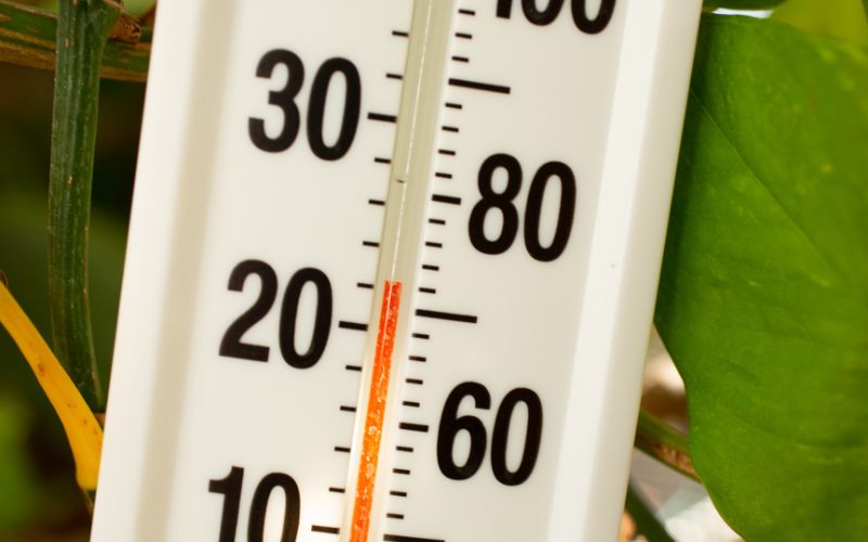 Temperatura ideal del suelo refrescante: cómo mantener el confort sin exceso de frío Imagen del blog de Gascalor - Temperatura ideal del suelo refrescante